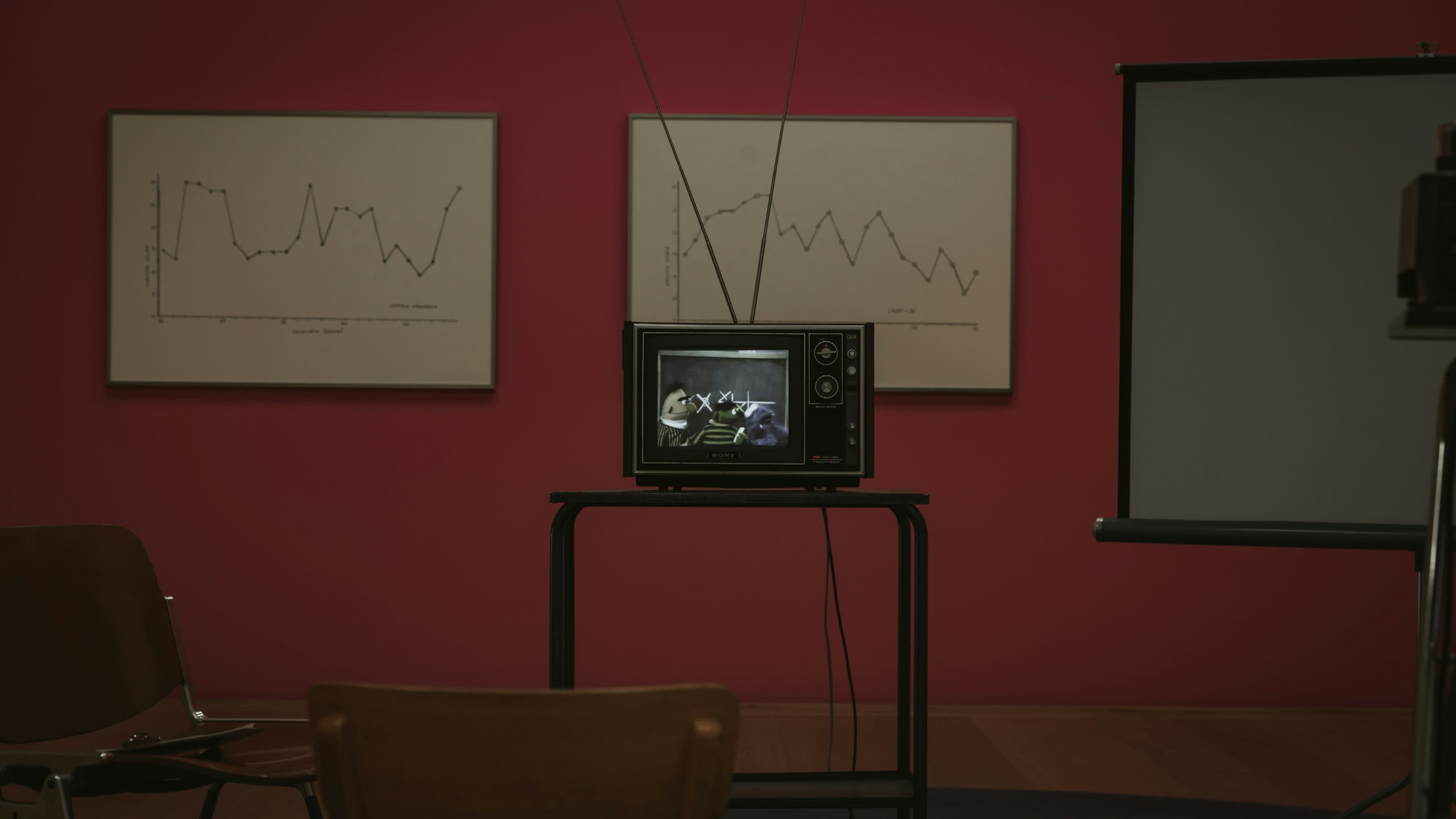 DIRECTOR Y JEFE DE VÍDEO